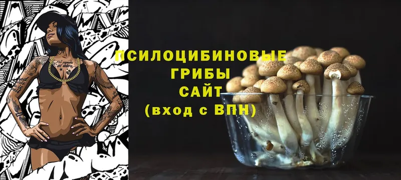 Псилоцибиновые грибы Psilocybe  купить наркоту  Саянск 